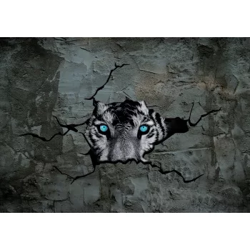 Tigris poszter, fotótapéta