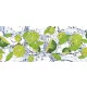 Lime poszter, fotótapéta (250 x 104 cm)