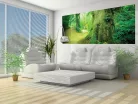 Erdő poszter, fotótapéta (250 cm x 104 xm)