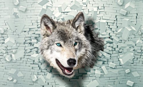 Farkas fal 3D 2941 fotótapéta több méretben, alapanyagban