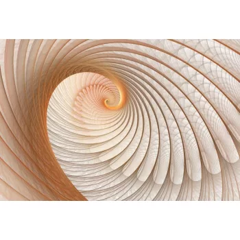 Snail poszter, fotótapéta