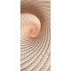 Spirál poszter, fotótapéta (91 x 211 cm)