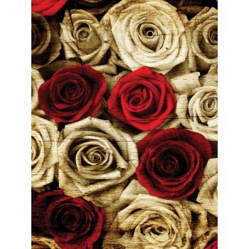 Rózsák poszter, fotótapéta, Vlies (184x254 cm, álló)