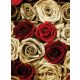 Rózsák poszter, fotótapéta, Vlies  (206x275 cm, álló)