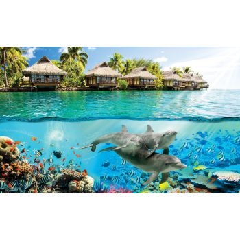   Kunyhók és delfinek poszter, fotótapéta, Vlies (104 x 70,5 cm)