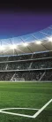 Stadion poszter, fotótapéta (91 x 211 cm)