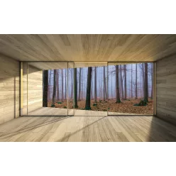 Erdő poszter, fotótapéta (416 x 254 cm)