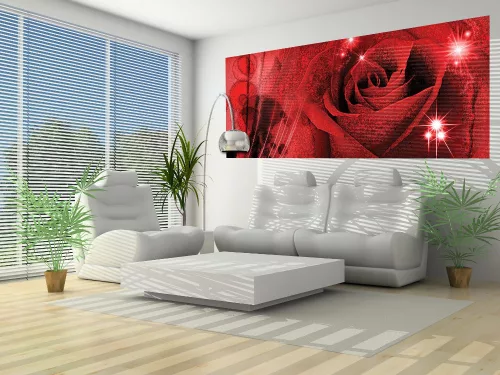 Rózsa poszter, fotótapéta (250 cm x 104 xm)
