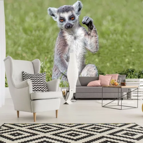 Lemur poszter, fotótapéta