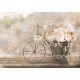 Virágok biciklin  poszter, fotótapéta, Vlies (104 x 70,5 cm)