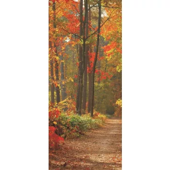 Erdei út öntapadós poszter, fotótapéta (91 x 211 cm)