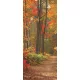 Erdei út öntapadós poszter, fotótapéta (91 x 211 cm)