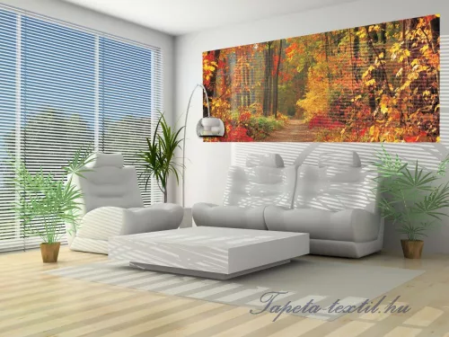 Erdei út poszter, fotótapéta (250 x 104 cm)
