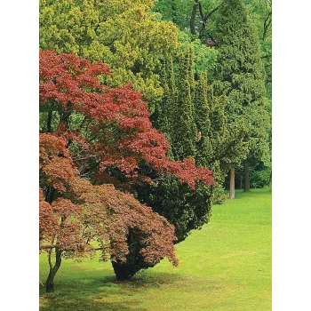 Garden poszter, fotótapéta (184 x 254 cm)