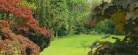 Garden poszter, fotótapéta (250 x 104 cm)