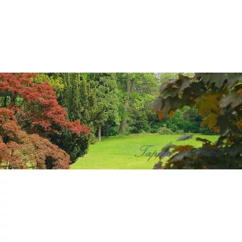 Garden poszter, fotótapéta (250 x 104 cm)