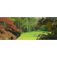 Garden poszter, fotótapéta (250 x 104 cm)