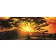 African Sunset poszter, fotótapéta (250 x 104 cm)