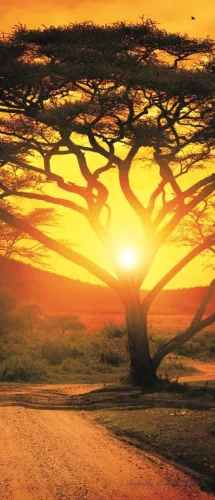African Sunset poszter, fotótapéta (91 x 211 cm)