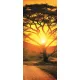 African Sunset poszter, fotótapéta (91 x 211 cm)
