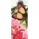 Pillangó poszter, fotótapéta (91 x 211 cm)