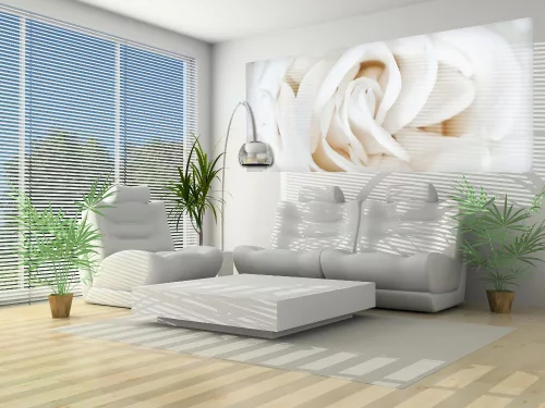 Rózsa poszter, fotótapéta (250 cm x 104 xm)