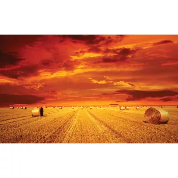 Szalmabála poszter, fotótapéta