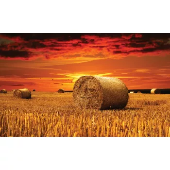 Szalmabála poszter, fotótapéta