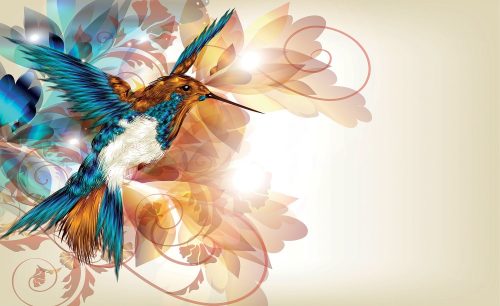 Kolibri poszter, fotótapéta Vlies (312 x 219 cm)