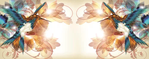 Kolibrik poszter, fotótapéta (250 x 104 cm)