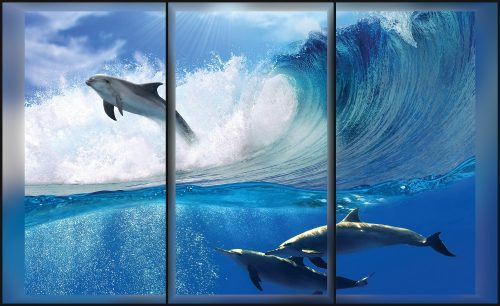 Delfinek poszter, fotótapéta Vlies (254 x 184 cm)