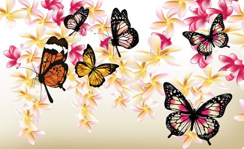 Pillangók poszter, fotótapéta, Vlies (416 x 254 cm)