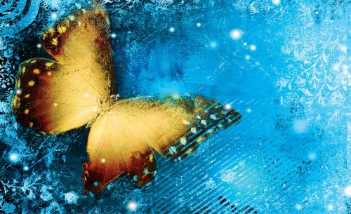 Pillangó poszter, fotótapéta Vlies (152,5 x 104 cm)