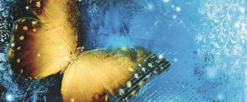 Pillangó poszter, fotótapéta (250 x 104 cm)