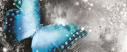 Pillangó poszter, fotótapéta (250 x 104 cm)