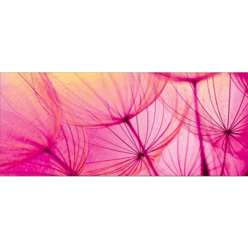 Pitypang poszter, fotótapéta (250 cm x 104 xm)