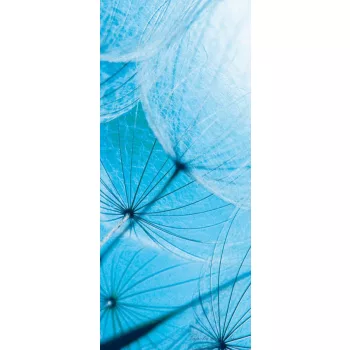 Pitypang poszter, fotótapéta (91 x 211 cm)