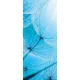 Pitypang poszter, fotótapéta (91 x 211 cm)