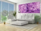 Lila virágok poszter, fotótapéta (250 cm x 104 xm)
