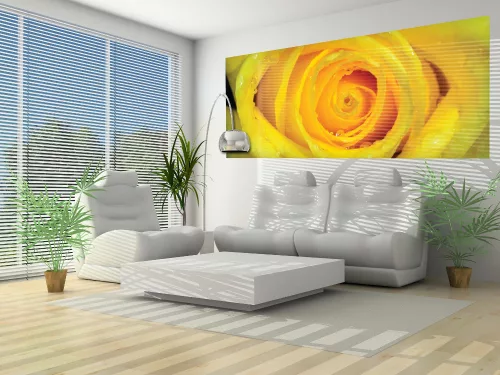 Rózsa poszter, fotótapéta (250 cm x 104 xm)