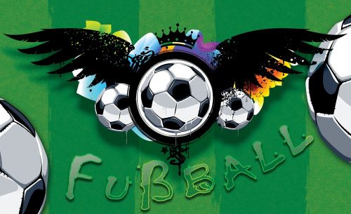 Foci, Fußball poszter, fotótapéta, Vlies (416 x 254 cm)