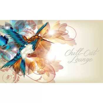 Kolibri poszter, fotótapéta