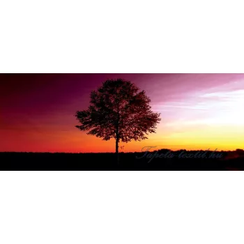 Naplemente poszter, fotótapéta (250 x 104 cm)