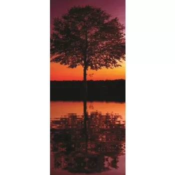 Tree poszter, fotótapéta (91 x 211 cm)