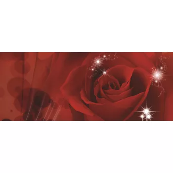 Rózsa poszter, fotótapéta (250 cm x 104 xm)