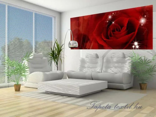 Rózsa poszter, fotótapéta (250 cm x 104 xm)