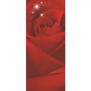 Rózsa poszter, fotótapéta (91 x 211 cm)