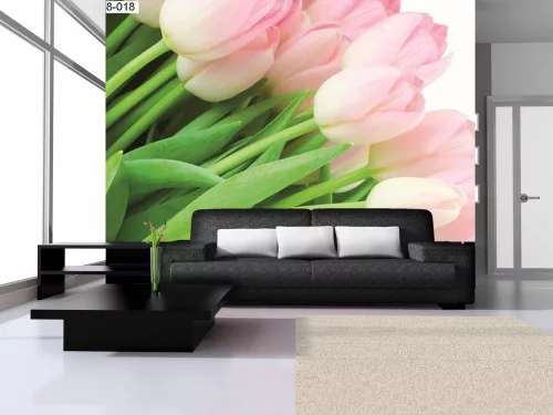 Tulipánok poszter, fotótapéta (104 x 70,5 cm)