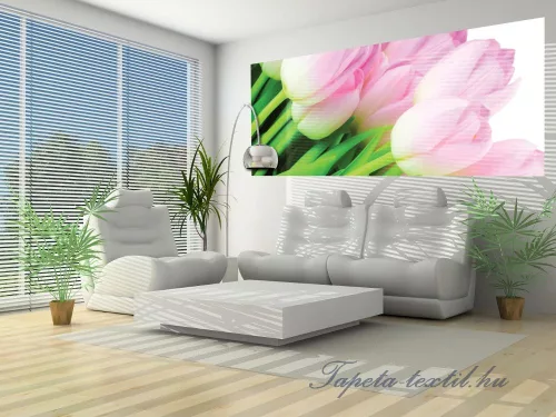 Tulipánok poszter, fotótapéta (250 x 104 cm)