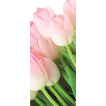 Tulipánok poszter, fotótapéta (91 x 211 cm)